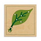 Botanisches Puzzle: Blatt