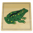 Tierpuzzle - Frosch