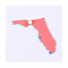 Einlegekarte USA, Florida