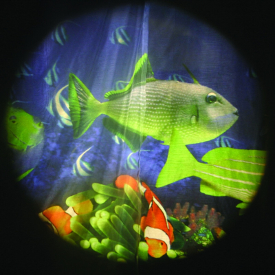 Tropische Fische - Projektorrad